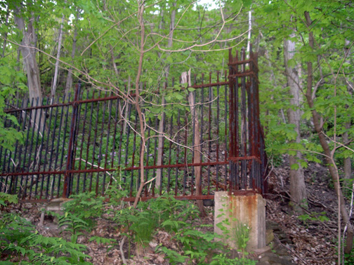Old Baby Point Estate fence