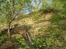 Ravine Erosion 1