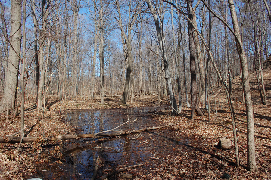 Ravine Erosion 3